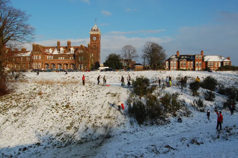 Save Mousehold Heath Dirt  Jumps