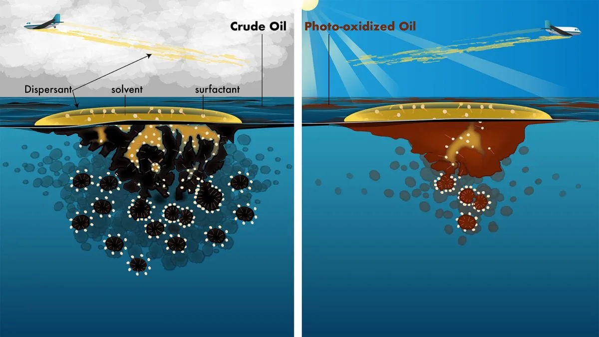 STOP the use of harmful dispersants in the GULF