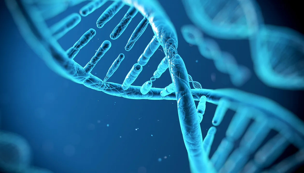 We petition the government to raise their funding for researchers using gene therapy to cure diseases