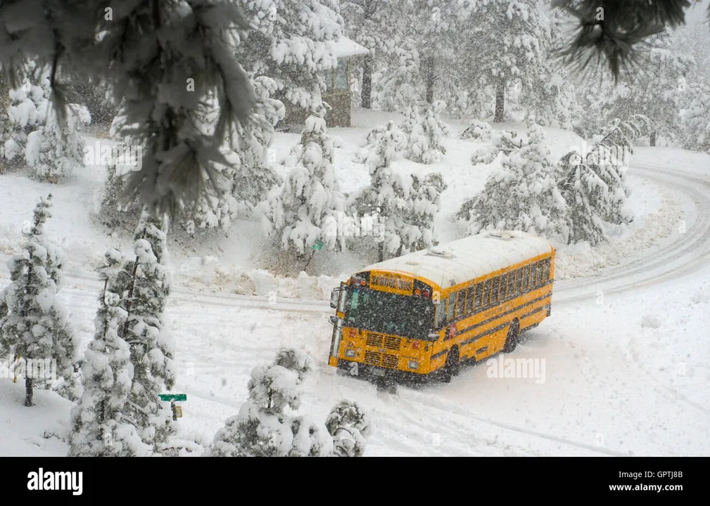 No school on wednesday!