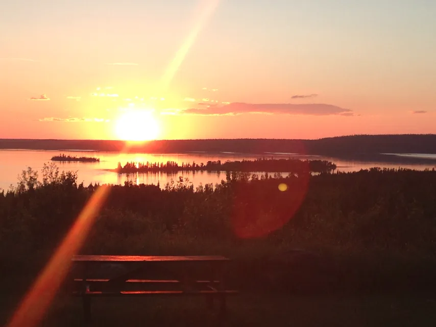 Stop Logging Operations at Michel Point, SASK.