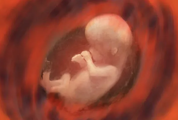 Keep the GOP platform pro-life