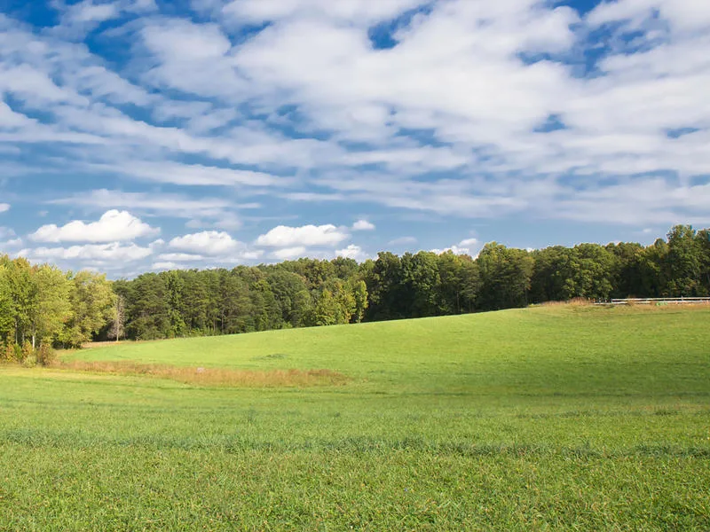 Save Chancellorsville Battlefield