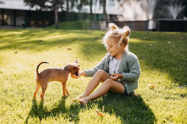 Help Maya get a dog.