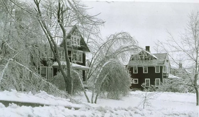 Save the remains of UConn's Faculty Row