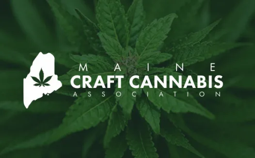 Maine Adult Use Cannabis Hearing