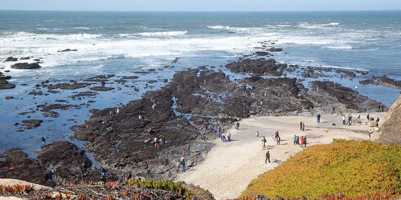Save the Fitzgerald Marine Reserve