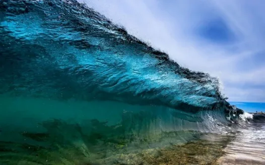 Protect The Ocean