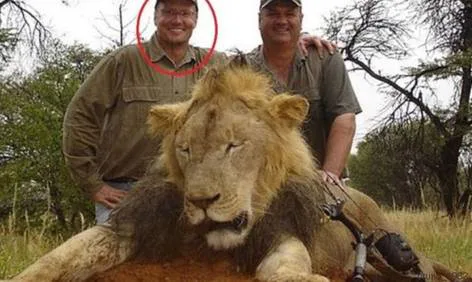 Loretta E. Lynch Attorney General Of The United States: Investigate Walter James Palmer For Criminal Violation Of The Travel Act