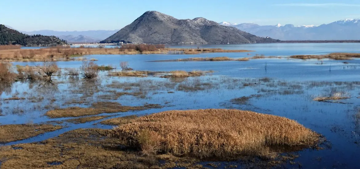 Against bulding dams on the Moraca river (Montengro)