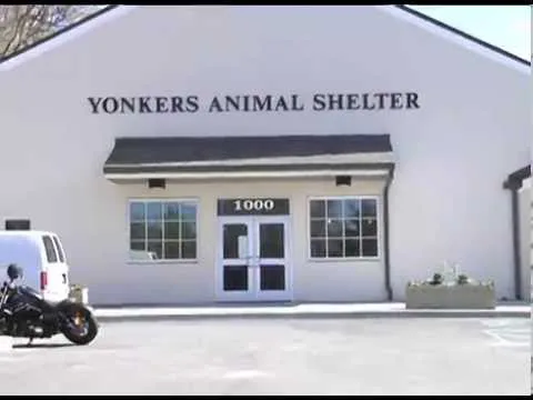 Leslie, Adoption Coordinator, Yonkers Animal Shelter, Yonkers, NY (201)- 981-3215