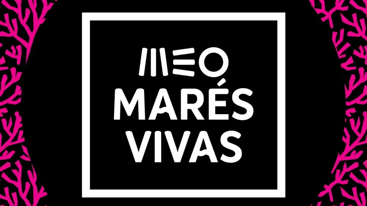 Queremos os The Paperboats no Festival Marés Vivas 2012