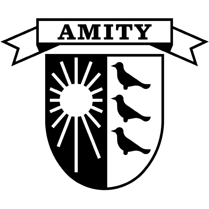 Amity Turf Athletic Field