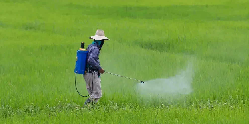 Dear Mike Thompson: Propose a bill to ban bee-killing pesticides!