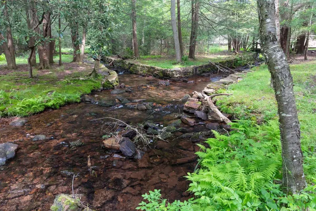 Save our State Parks