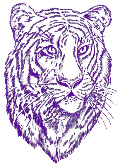Allow athletics at kerr high school !!!