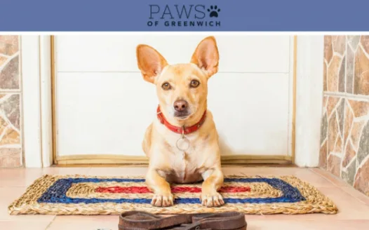 Support Greenwich Dog Walking Companies & Owners! Lift the Dog Walker Ban from Town Park Land