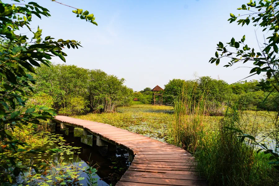 Stop the Destruction of Important Ecosystems !