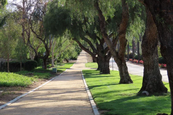 Petition to Oppose High-Density Housing Development on Victoria Avenue
