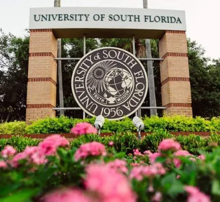 USF School of Art and Art History Needs to do better.