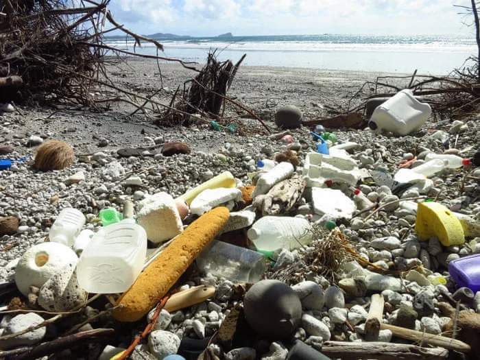 Stop Production of Single use Plastics in Australia