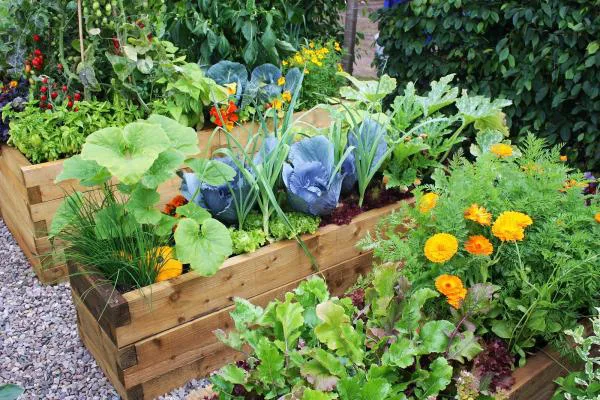 Keep Ann O'Donoghue's Vegetable Planters