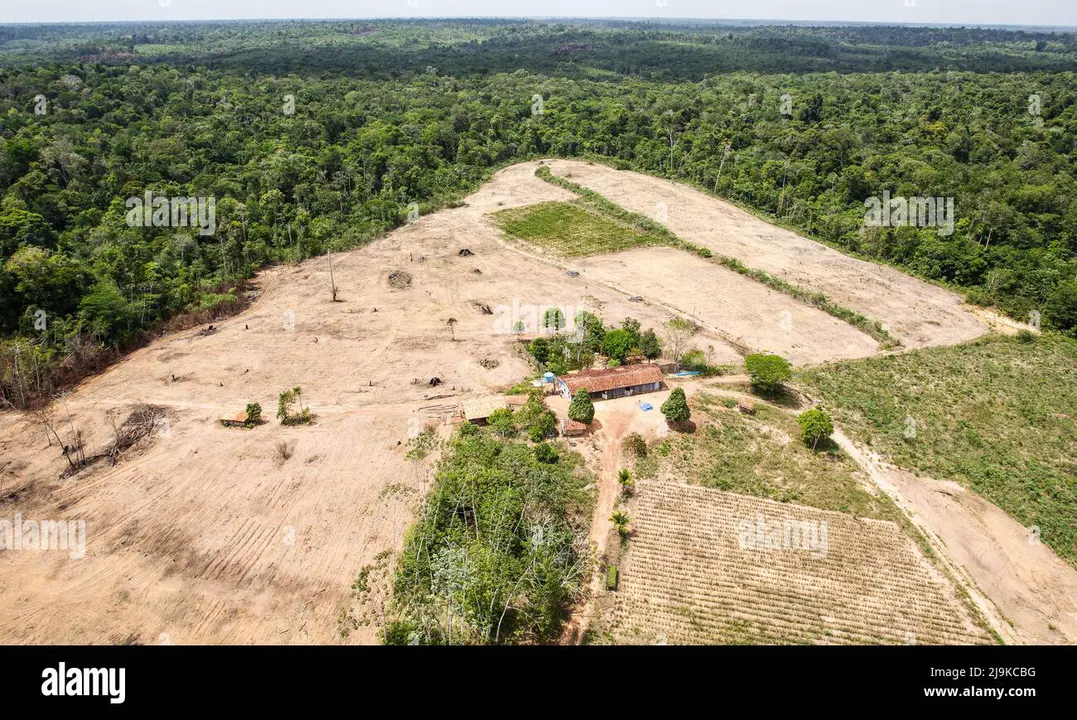 DEFORETSTION