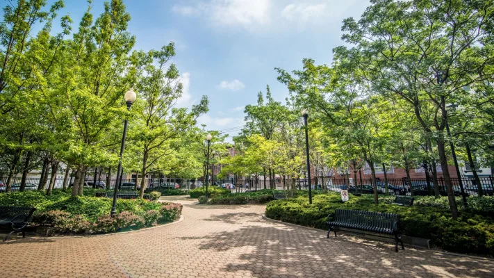 Let's make a park in Lebanon!
