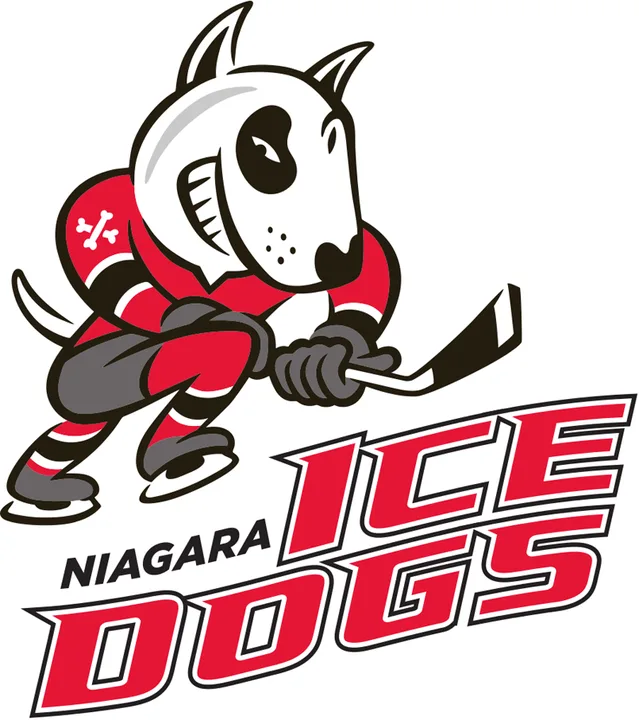 To Bill Burke - we want our team to be the St. Catharines IceDogs!