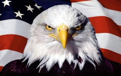 Keeping America Safe