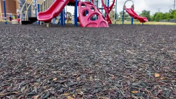 Stop Spraying Glyphosate (Round-Up) and Any Poison in West Chester, PA School Playgrounds 