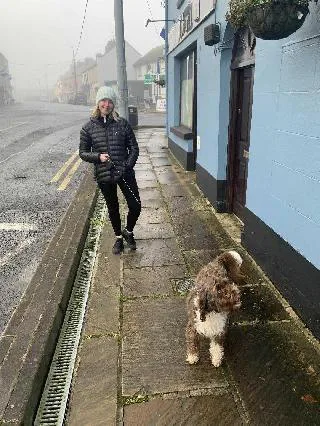 Say NO TO THE DUBLIN DOG BAN !