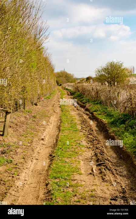 Maintain our bridleways