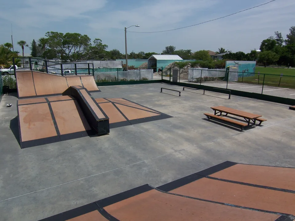 Build a Skatepark in Carbondale, IL!