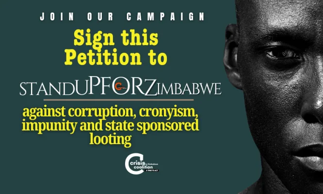 Sign this petition to #StandUpForZimbabwe against Corruption & Looting