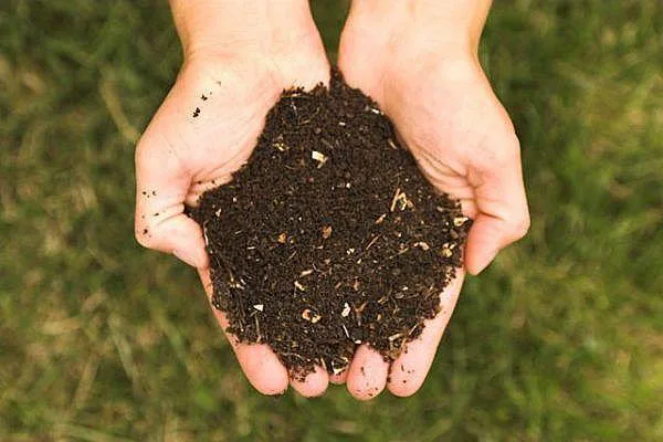 Composting @ KSU