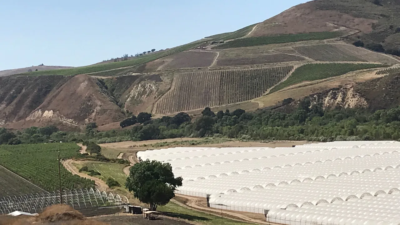 Require an Environmental Impact Report for proposed cannabis projects near the Pozo area