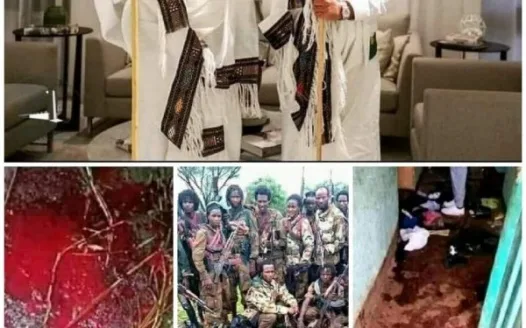 Stop Ethinic Cleansing in Oromia, Ethiopia