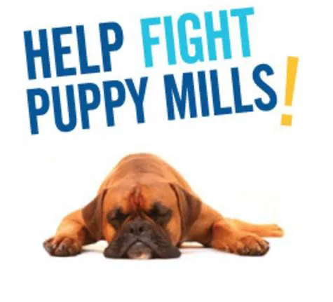 Ban Puppy Mills in Canada!