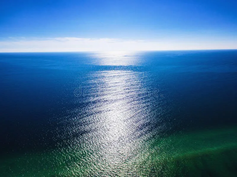 EFFECTIVE OIL SPILL RESPONSE REQUIRED! SAVE THE GULF OF MEXICO AND ALL OCEAN WATERS