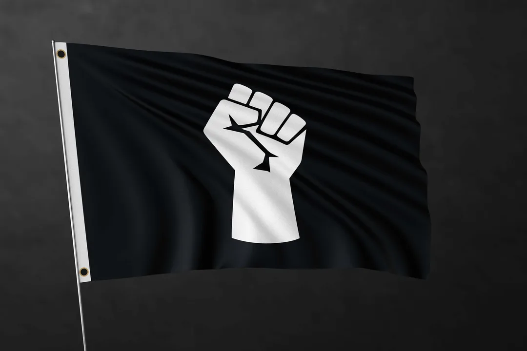 Parstv Petition, Iranian Solidarity