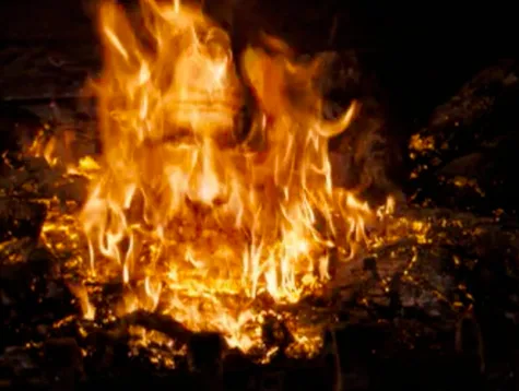 Sirius Black Yule Log