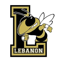 Stop the Segregation of Special Needs Students in Lebanon Public Schools