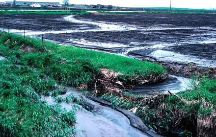 Clean Lakes for Lake County