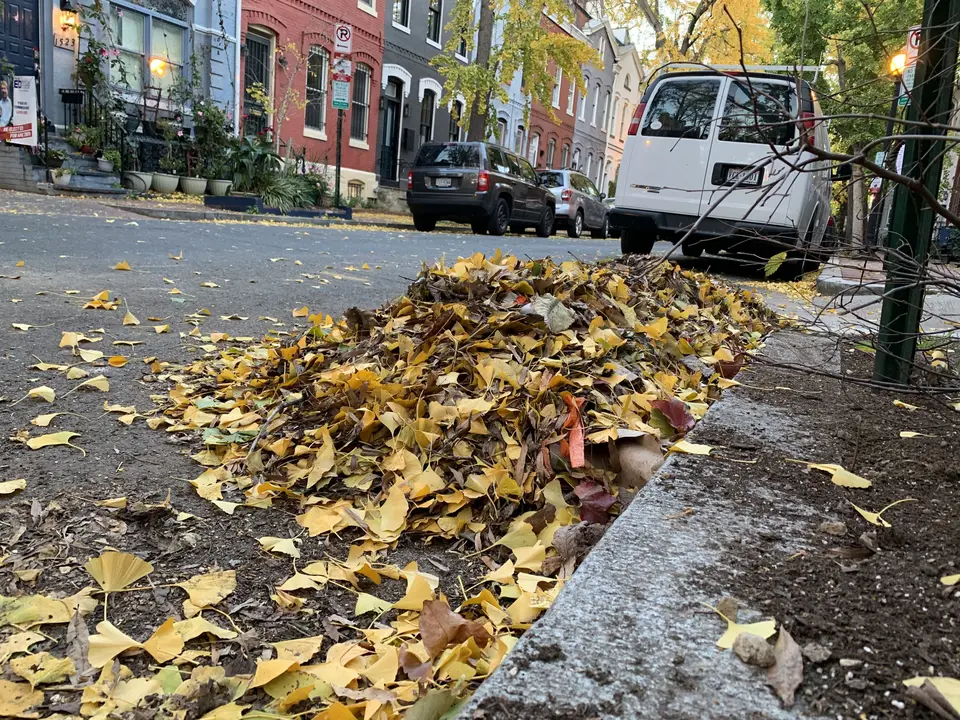 Utility Rates and Leaf Collection in RVA.