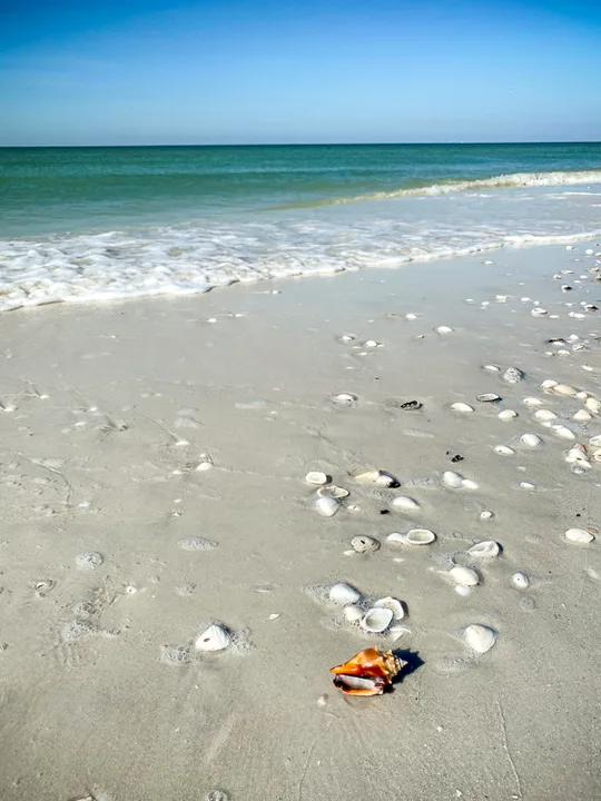 Keewaydin Island Annexation VOTE NO!
