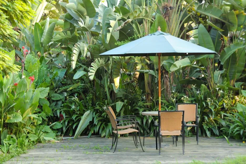 Save The Banana Tree