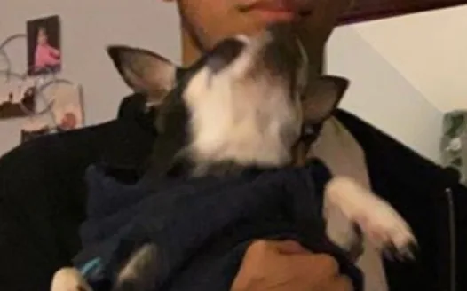 SAM GIVE PEDRO SKIPPY