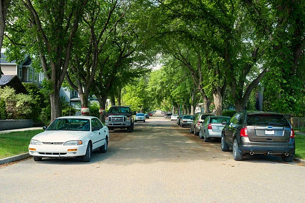 Hampton Park Parking