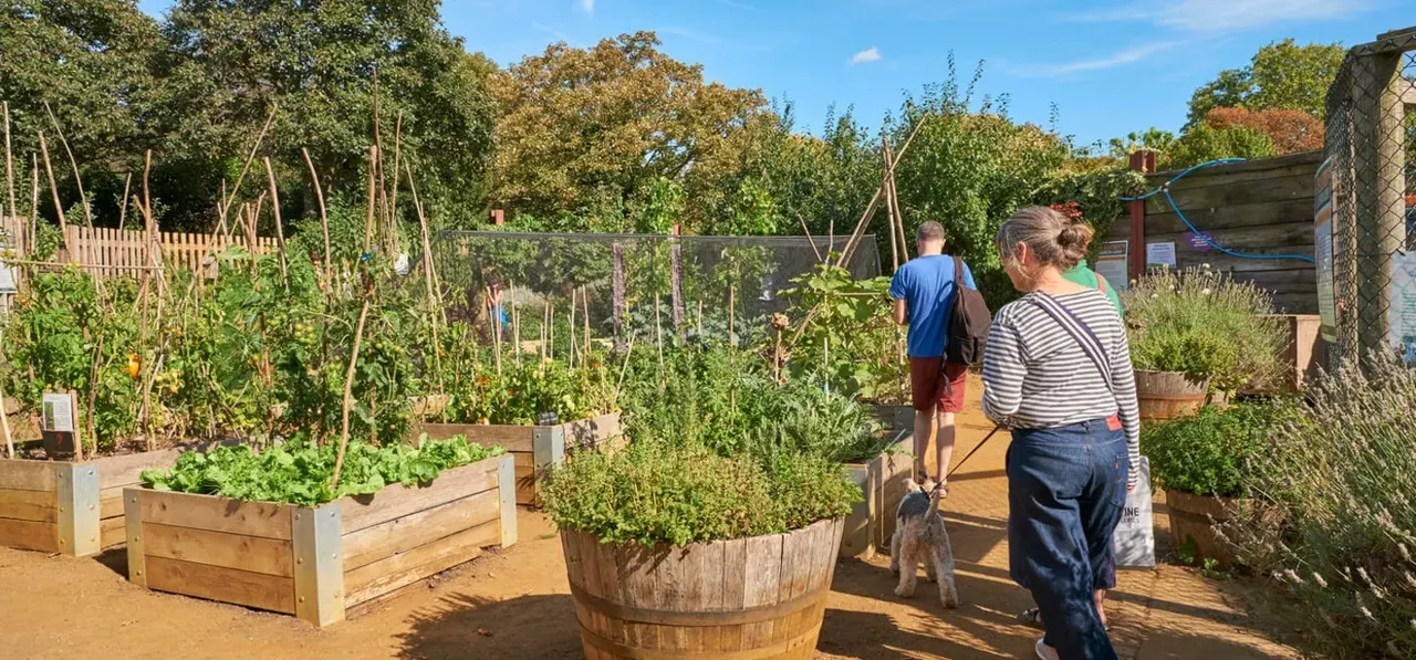 Save Fortis Green Allotments!